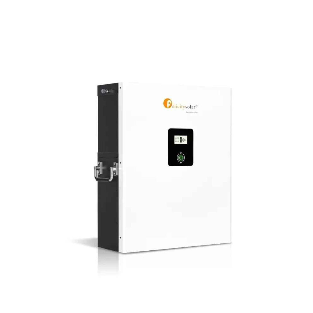 5.12kWh 100Ah 48V Felicity LiFePO₄ Lithium Battery – Model LPBF48100-M - Image 3