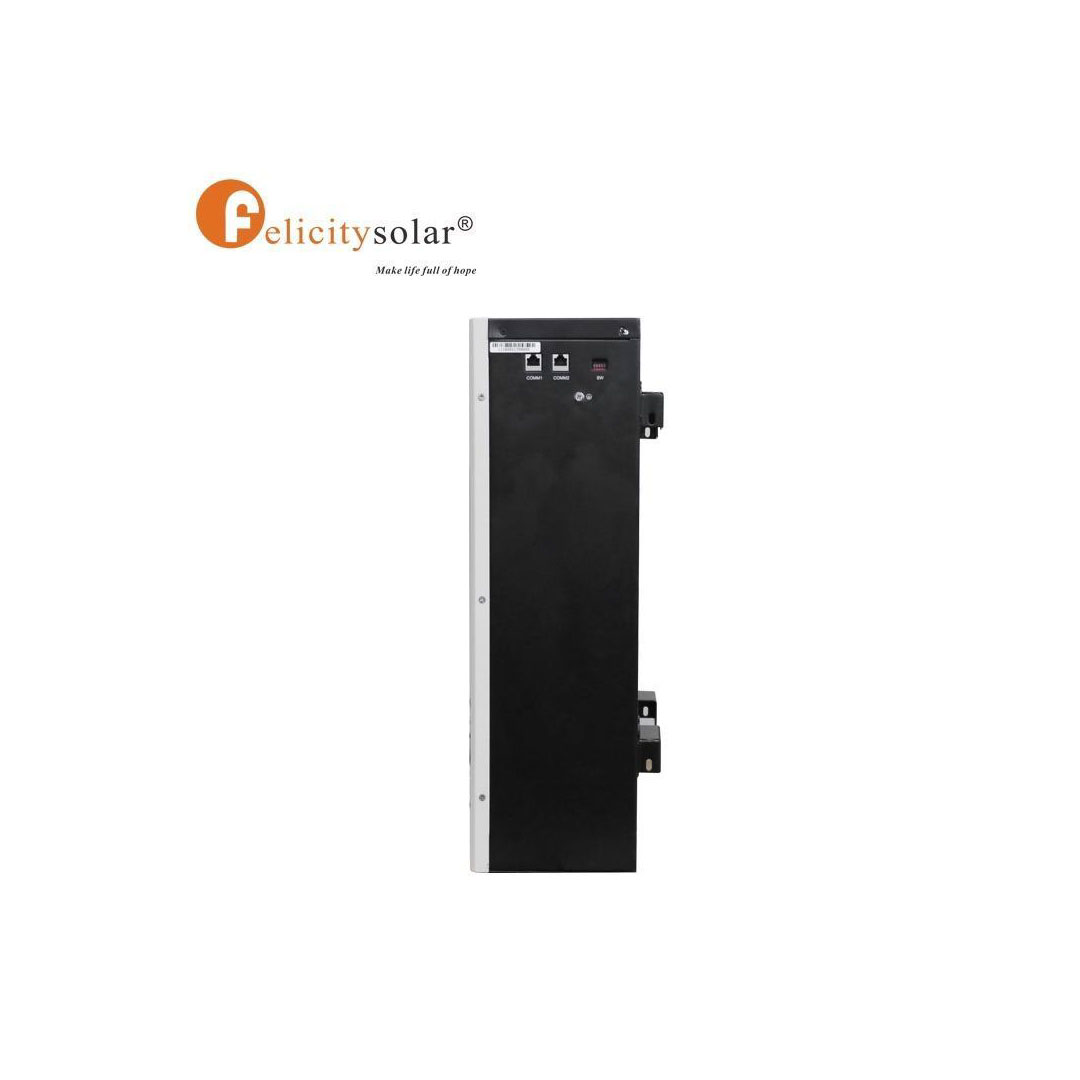 5.12kWh 100Ah 48V Felicity LiFePO₄ Lithium Battery – Model LPBF48100-M - Image 4