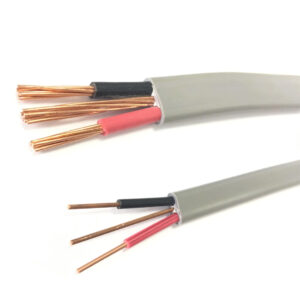 10.0mm Twin with Earth Cable – West (Per Meter)