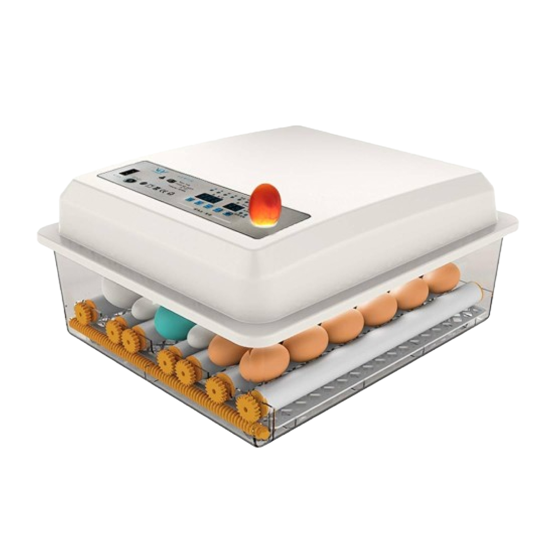 16 Egg Incubator Solar Kit (A/C) - Image 2