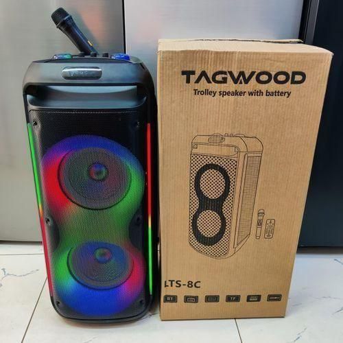 TAGWOOD Rechargeable Party Box with Microphone and Remote Model LTS 8C